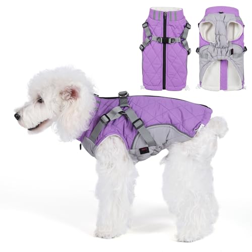 Poseca Hunde-Wintermantel mit integriertem Geschirr, Hunde-Winterjacke mit Reißverschluss, Outdoor-Hunde-Schneeanzug, winddicht, verstellbarer Hundemantel mit Schnalle, warmer Mantel für kleine und von Poseca