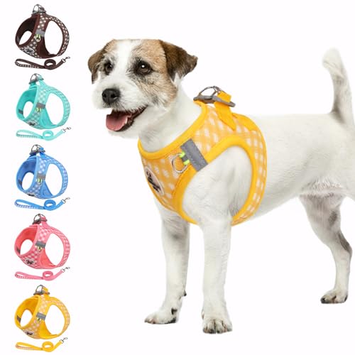 Poseca Hundegeschirr und Leine, weiches Netzgewebe, atmungsaktives Hundegeschirr zum Spazierengehen, reflektierend, verstellbar, Welpengeschirr, kein Ziehen, Haustiergeschirr und Leine, Set für kleine Poseca Hundegeschirr und Leine, weiches Netzgewebe, atmungsaktives Hundegeschirr zum Spazierengehen, reflektierend, verstellbar, Welpengeschirr, kein Ziehen, Haustiergeschirr und Leine, Set für kleine von Poseca
