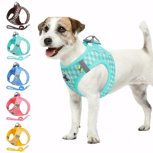 Poseca Hundegeschirr und Leine, weiches Netzgewebe, atmungsaktives Hundegeschirr zum Spazierengehen, reflektierend, verstellbar, Welpengeschirr, kein Ziehen, Haustiergeschirr und Leine, Set für kleine Poseca Hundegeschirr und Leine, weiches Netzgewebe, atmungsaktives Hundegeschirr zum Spazierengehen, reflektierend, verstellbar, Welpengeschirr, kein Ziehen, Haustiergeschirr und Leine, Set für kleine von Poseca
