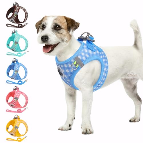 Poseca Hundegeschirr und Leine, weiches Netzgewebe, atmungsaktives Hundegeschirr zum Spazierengehen, reflektierend, verstellbar, Welpengeschirr, kein Ziehen, Haustiergeschirr und Leine, Set für kleine Poseca Hundegeschirr und Leine, weiches Netzgewebe, atmungsaktives Hundegeschirr zum Spazierengehen, reflektierend, verstellbar, Welpengeschirr, kein Ziehen, Haustiergeschirr und Leine, Set für kleine von Poseca