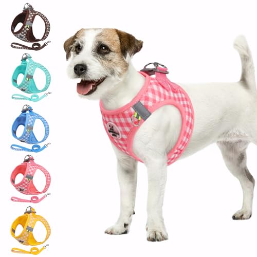 Poseca Hundegeschirr und Leine, weiches Netzgewebe, atmungsaktives Hundegeschirr zum Spazierengehen, reflektierend, verstellbar, Welpengeschirr, kein Ziehen, Haustiergeschirr und Leine, Set für kleine Poseca Hundegeschirr und Leine, weiches Netzgewebe, atmungsaktives Hundegeschirr zum Spazierengehen, reflektierend, verstellbar, Welpengeschirr, kein Ziehen, Haustiergeschirr und Leine, Set für kleine von Poseca