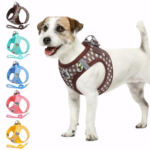 Poseca Hundegeschirr und Leine, weiches Netzgewebe, atmungsaktives Hundegeschirr zum Spazierengehen, reflektierend, verstellbar, Welpengeschirr, kein Ziehen, Haustiergeschirr und Leine, Set für kleine Poseca Hundegeschirr und Leine, weiches Netzgewebe, atmungsaktives Hundegeschirr zum Spazierengehen, reflektierend, verstellbar, Welpengeschirr, kein Ziehen, Haustiergeschirr und Leine, Set für kleine von Poseca