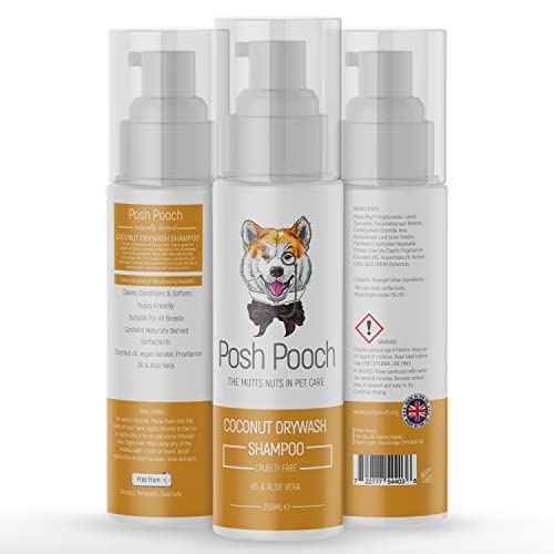 Drywash Coconut Waterless Shampoo für Hunde Posh Pooch® Cruelty Free 3 in 1 Dry Wash, Conditioner & Detangler | natürlich gewonnene Tenside Aloe Vera B5 Trockenshampoo für Hunde oder Katzen kein Ausspülen erforderlich von Posh Pooch