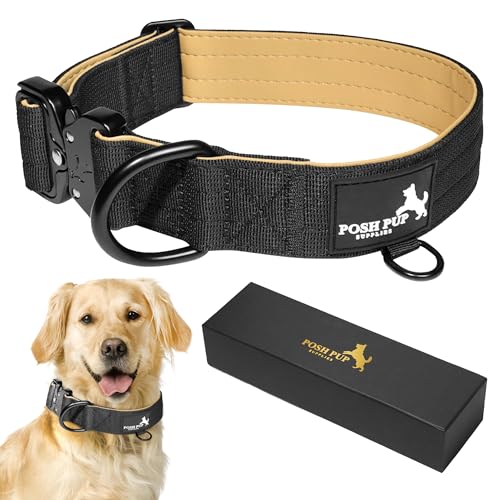 Posh Pup Supplies Robustes Hundehalsband, 3,8 cm dick, strapazierfähiges Nylon in Militärqualität, großes Hundehalsband für mittelgroße und große Hunde, 30,5 - 43,2 cm, verstellbares Halsband für von Posh Pup Supplies