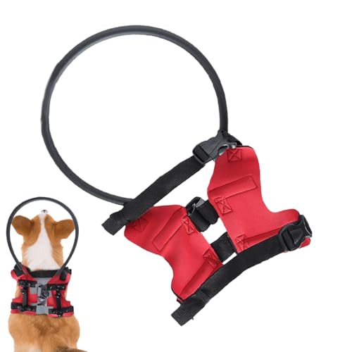 Halo Für Blinde Hunde | Anti-Kollisionsring Für Sehbehinderte Hunde | Sicherheitsführungsstoßstange Schutzhalsband-Zubehör Für Outdoor-Spaziergänge Halo Für Blinde Hunde | Anti-Kollisionsring Für Sehbehinderte Hunde | Sicherheitsführungsstoßstange Schutzhalsband-Zubehör Für Outdoor-Spaziergänge von Poupangke