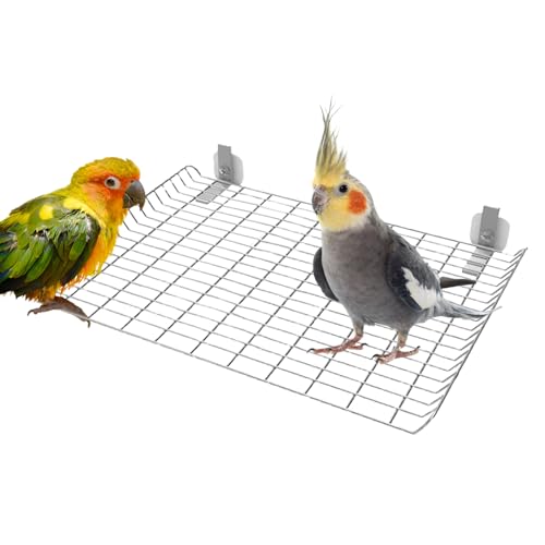 Vogel Sitzstange - Edelstahl Vogelständer Sitzstange,Spielzeug Zur Bewegung Und Beschäftigung Für Kleine, Mittelgroße Und Große Vogelarten Vogel Sitzstange - Edelstahl Vogelständer Sitzstange,Spielzeug Zur Bewegung Und Beschäftigung Für Kleine, Mittelgroße Und Große Vogelarten von Poupangke