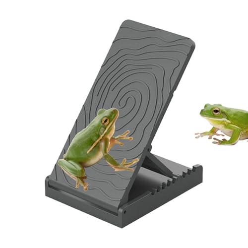 Wasserschildkröten Kletterrampe | Bartagamen Kletterstufen Rampe | Höhenverstellbare Landschildkröten Terrarium Dekoration Zum Spielen Für Schlangen Chamäleons Molche Frösche Wasserschildkröten Kletterrampe | Bartagamen Kletterstufen Rampe | Höhenverstellbare Landschildkröten Terrarium Dekoration Zum Spielen Für Schlangen Chamäleons Molche Frösche von Poupangke