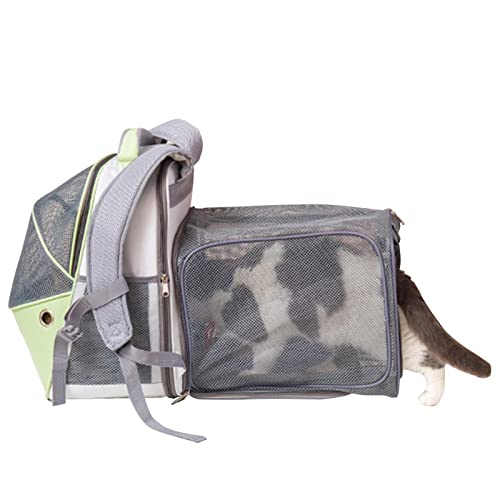 Erweiterbare Katzentragetasche, Netz-Haustier-Rucksack, Kollisionsfarbe, Hunderucksack, Tasche für Wandern, Reisen, hält Haustiere mit transparentem Fenster von Povanjer