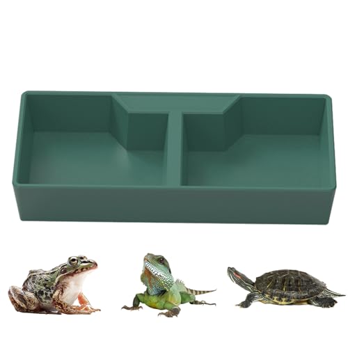 Reptilien-Futternapf – 2 Gitter Dunkelgrün Reptilien Futter- und Wassernapf – Terrarienschalen für , Frosch, Gecko, Chamäleon, Haustiere, Lebensraumdekoration von Povanjer