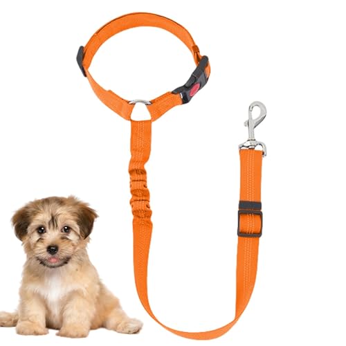 Sicherheitsgurt für Hunde für Auto, Sicherheitsgurt für Hunde für Auto – Sicherheitsgurt aus Zugseil für Hunde und Haustiere – Seil Sicherheitsgurt für Hunde für Auto, Sicherheitsgurt für Hunde für Auto – Sicherheitsgurt aus Zugseil für Hunde und Haustiere – Seil von Povanjer