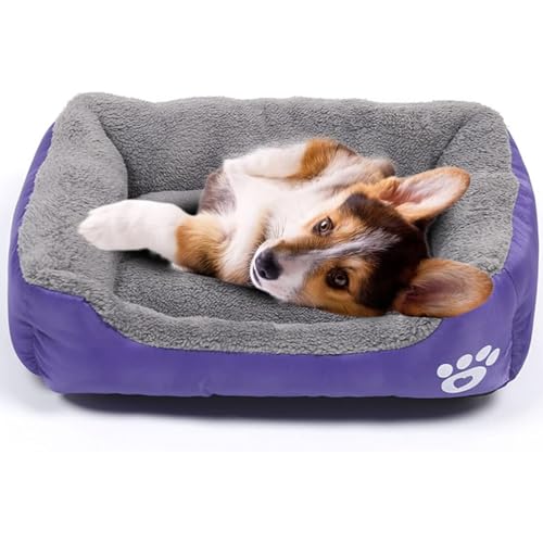 powerking Hundebett, wasserdichtes Haustier Mat Pad und Schlafkissen für Kitty Katze und kleine Hündchen, weich und waschbar （lila） von powerking