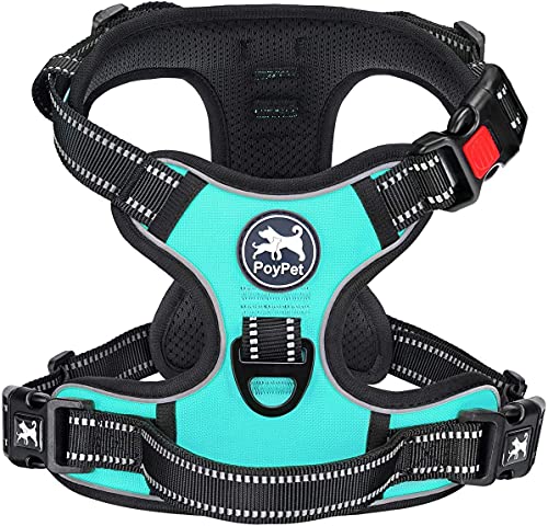 PoyPet Keine Pull Hundegeschirr Front Reflektierende Pet Weste für Hunde mit Einfache Kontrolle Griff und Rückseite perfekt für den täglichen Training, Walken, Running(Mint Blau,S) von PoyPet