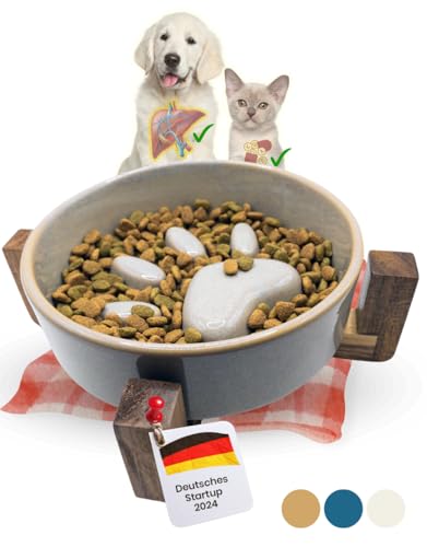 NEU PractiCasa® Antischlingnapf Hunde und Katzen mit PaceBite Effekt | Schlingnapf Hunde aus Keramik rutschfest 450ml | 30% bessere Verdauung für Hunde & Katzen mit unserem Anti Schling Napf (grau) von PractiCasa