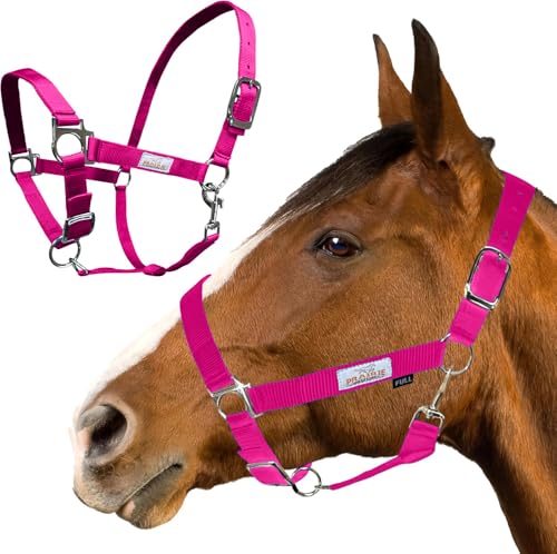 Prairie Horse Supply Pferdehalfter aus Nylon, Rosa – 2,5 cm breit, Pferdehalfter verstellbar, Pferdegeschirr, Pony-Halfter, Pferdeausrüstung und Zubehör – ideal für den Reitsport von Prairie Horse Supply