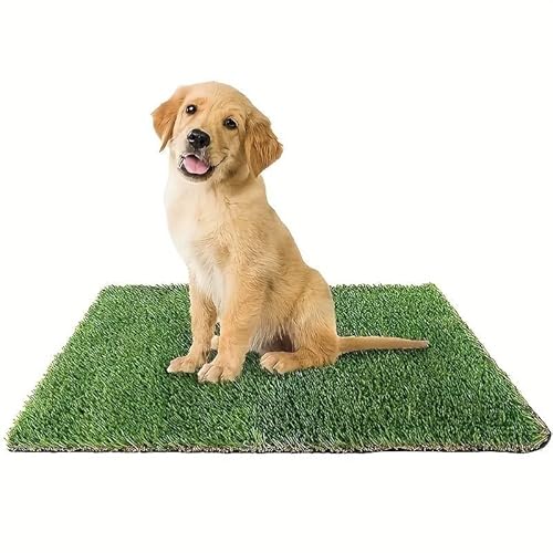 PratoErboso GreenZolla - Das Original Hundeklo aus echtem Gras, Naturrasen, 100% natürlich, Katzenbett aus echtem Rasen, Spielplatz und Entspannung für Haustiere, Größe Maxi von PratoErboso