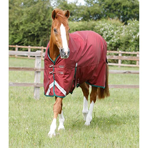 Premier Equine Outdoor-Decke für Pferde Titan 100 g von Premier Equine