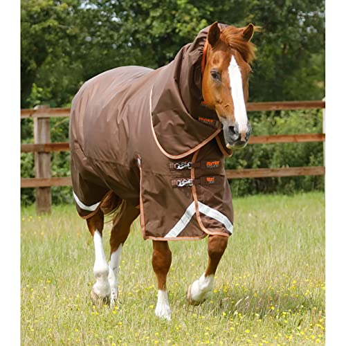 Premier Equine Outdoor-Decke für Pferde mit Nackenrolle Titan 300 g von Premier Equine