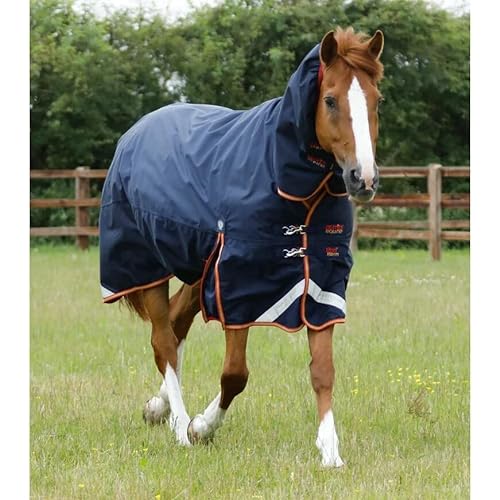 Premier Equine Outdoor-Decke für Pferde mit Nackenrolle Titan Storm 450 g von Premier Equine