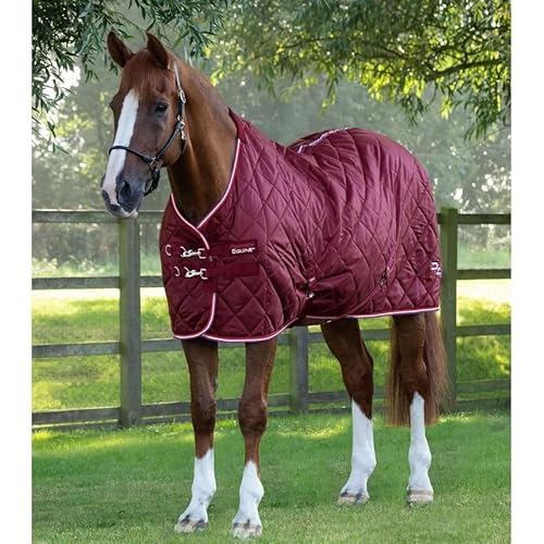 Premier Equine Stalldecke für Pferde Tuscan 100 g von Premier Equine