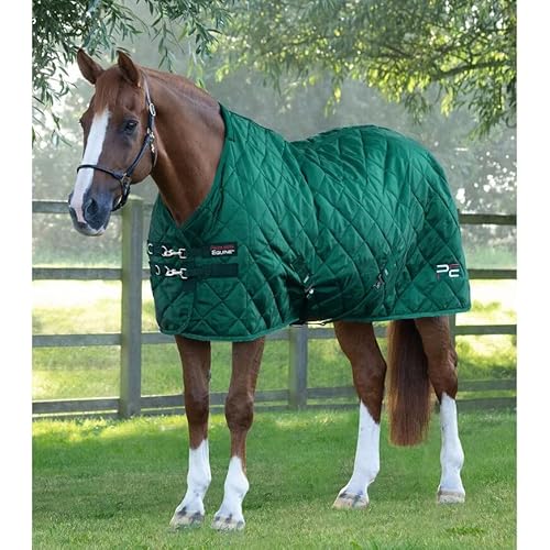 Premier Equine Stalldecke für Pferde Tuscan 200 g von Premier Equine