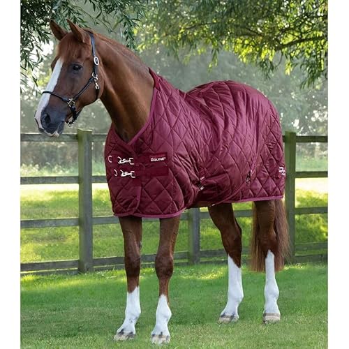 Premier Equine Stalldecke für Pferde Tuscan 200 g von Premier Equine