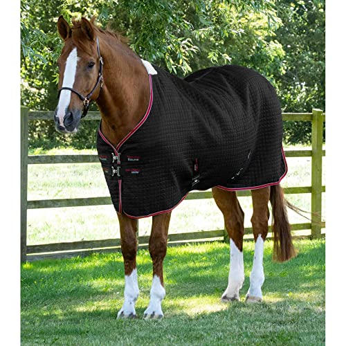 Premier Equine Trocknende Decke Dry-Tech von Premier Equine