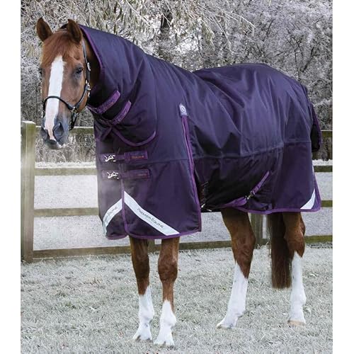 Premier Equine wasserdichte Outdoor-Decke für Pferde mit Halsabdeckung Buster Storm Classic 420 g von Premier Equine