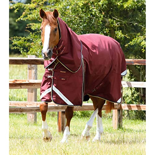 wasserdichte Outdoor-Decke für Pferde mit Halsabdeckung Premier Equine Buster 0 g von Premier Equine