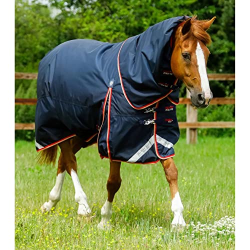 wasserdichte Outdoor-Decke für Pferde mit Halsabdeckung Premier Equine Buster 100 g von Premier Equine