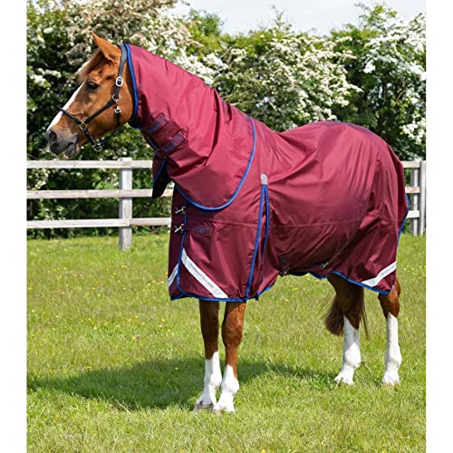 wasserdichte Outdoor-Decke für Pferde mit Halsabdeckung Premier Equine Buster 40g von Premier Equine