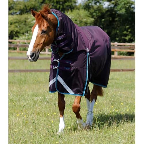 wasserdichte Outdoor-Decke für Pferde mit Halsabdeckung Premier Equine Buster Storm 100 g von Premier Equine