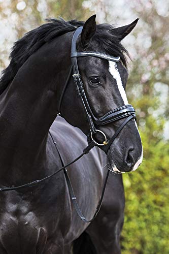 Premiera Verona anatomisches Trensenzaum (warmblut, Schwarz) von Premiera