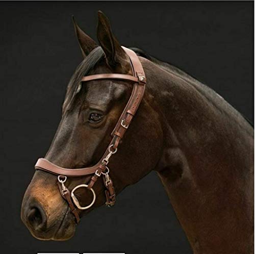 PresTeq Leder Trense FaySport 12 anatomische Eigenschaften (Warmblut extra, braun) von PresTeq