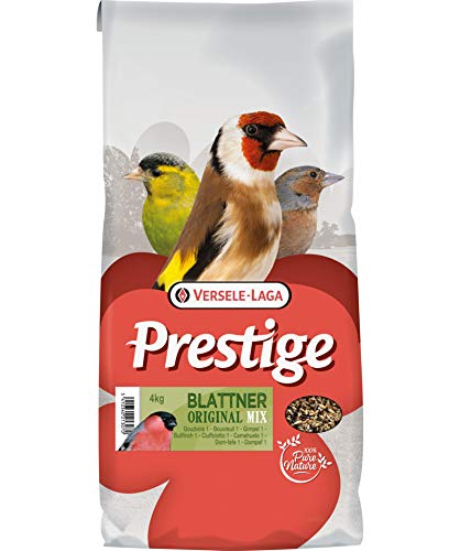 Prestige Blattner Bullfinch I Vogelfutter von Prestige