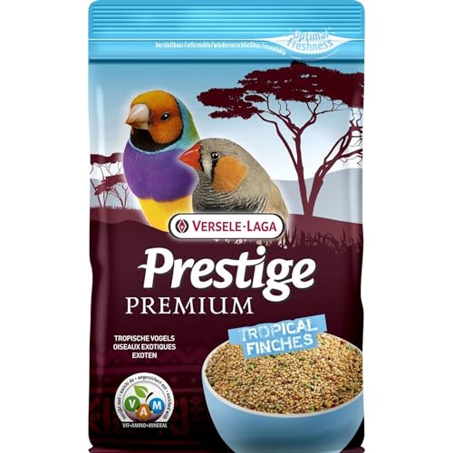 Versele-laga Prestige Vogelfutter für Exoten - 800 g von Prestige