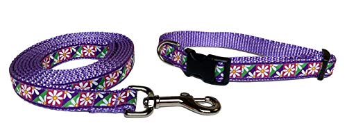 Preston Oopsy Hundehalsband und Leine, Gänseblümchen-Design, buntes Band mit Blumenmuster auf lavendelviolettem Nylon-Gurtband, Größe XS von Preston Inc