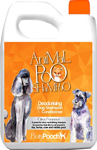 Pretty Pooch® Fox Poo Hundeshampoo & Conditioner für stinkende Hunde – 5 Liter (Zitrusduft) – Sensitives desodorierendes Hundeshampoo – beseitigt Fuchskot & andere Gerüche von Pretty Pooch