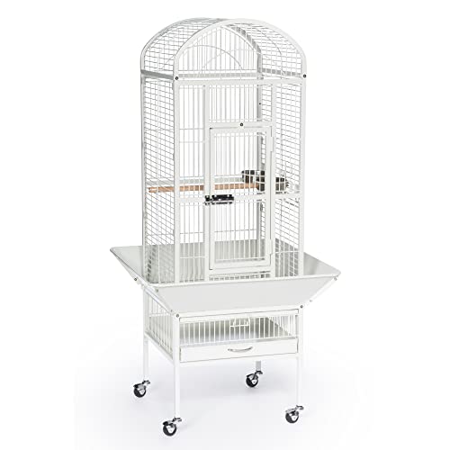 Prevue Pet Products 34512 Dometop Vogelkäfig, klein, kreideweiß von Prevue Hendryx