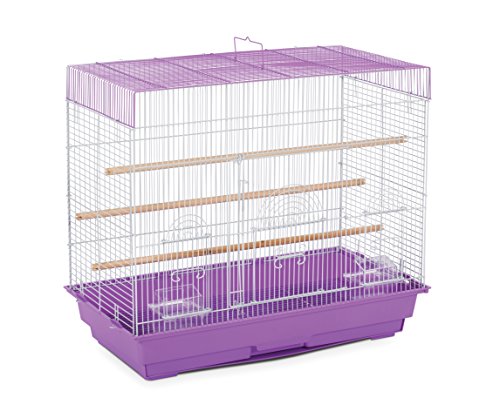 Prevue Pet Products SP1804-3 Flight Cage, Flieder/Weiß von Prevue Hendryx