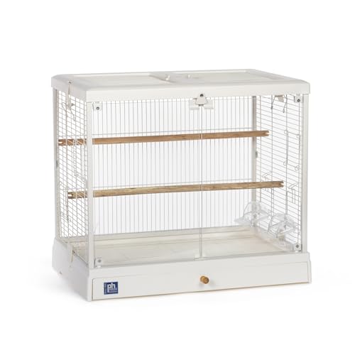 Prevue Pet Products Crystal Palace Luxe Glas-Vogelkäfig mit Doppelglastüren und herausnehmbarem Tablett von Prevue Pet Products