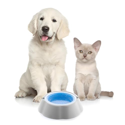 Kühlender Trinknapf für Haustiere | Wassernapf Hunde & Katzen kühlend | Hundenapf, Katzennapf, kaltes Wasser von Primal Internet GmbH