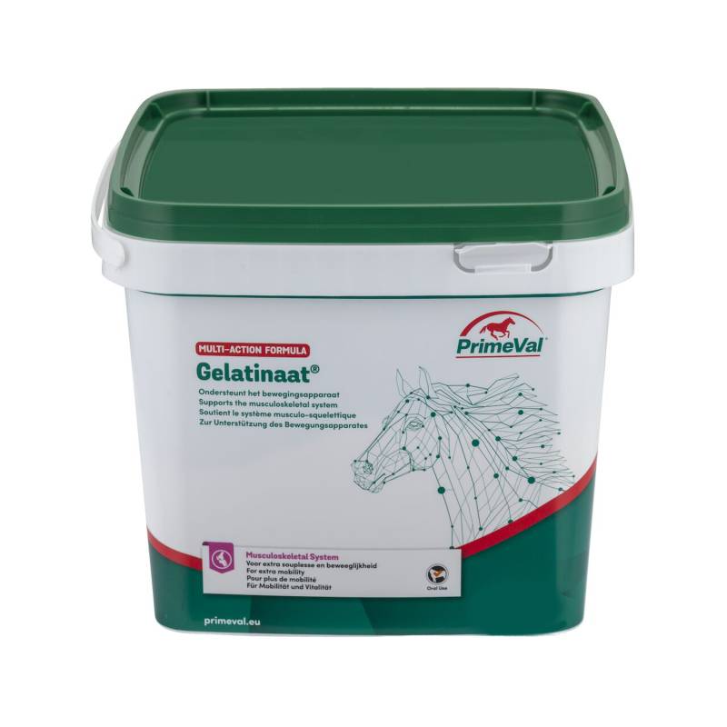 Primeval Gelatinat Pferd - 2 kg von PrimeVal