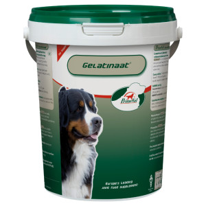 Primeval Gelatine für Hunde 2 kg von Primeval