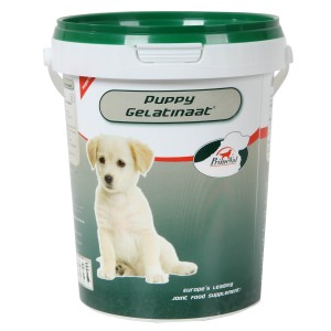 Primeval Puppy Gelatinate für Hunde 2 x 350 g von Primeval