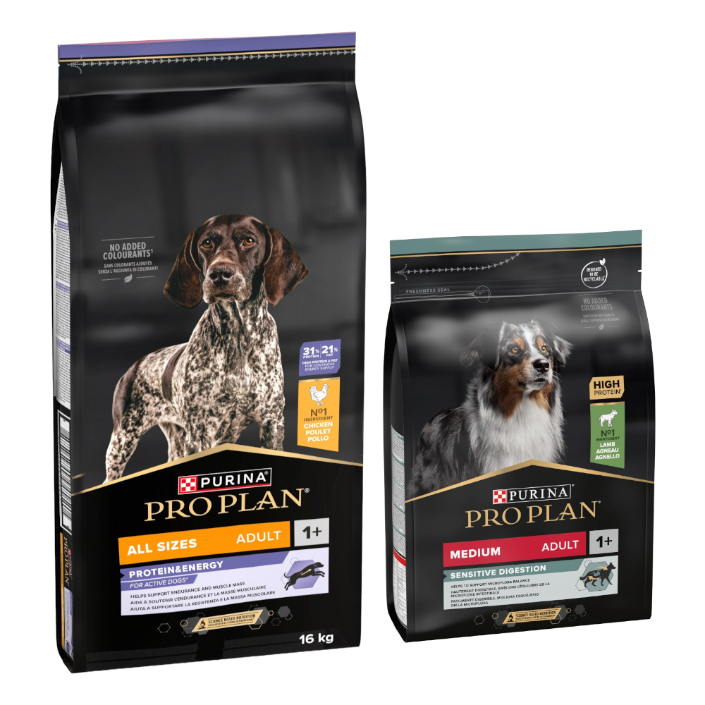16 kg + 3 kg gratis! 19 kg PURINA PRO PLAN Adult - All Size Protein & Energy + Medium Lamm & Reis Sensitive Digestion 16 kg + 3 kg gratis! 19 kg PURINA PRO PLAN Adult - All Size Protein & Energy + Medium Lamm & Reis Sensitive Digestion von Pro Plan