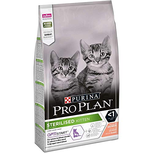 PURINA PRO PLAN | Sterilised Kitten <1 Healthy Start | Reich an Lachs | Trockenfutter | Kätzchen | 1,5 kg Beutel von Pro Plan