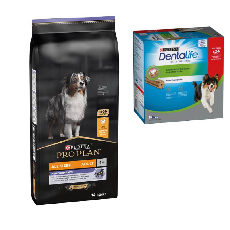 PURINA PRO PLAN Trockenfutter + passende Dentalife Snacks gratis! - 14 kg All Size Adult Performance + 24 Sticks für mittelgroße Hunde von Pro Plan