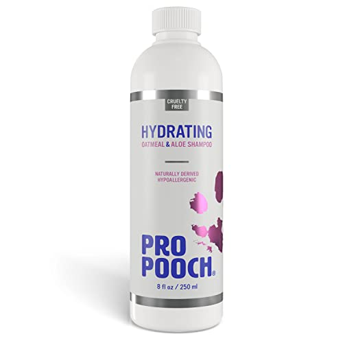 Pro Pooch Hafer-Hundeshampoo für juckende Haut (250 ml) Natürlich, hypoallergen & parfümfrei Professionelles Shampoo wie vom Hundefrisör Enthält kolloidale Haferflocken, Aloe Vera und Provitamin von Pro Pooch