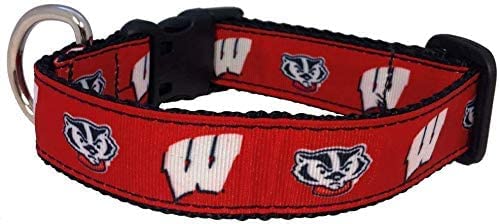 College-Hundehalsband, groß, Wisconsin, von Pro Sport Brand