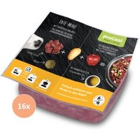 ProCani BARF Komplettmenü TK-Blockware Napffertig Ente 16x500 g von ProCani